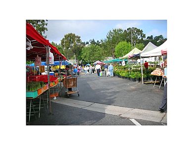 farmers-market-resized.jpg