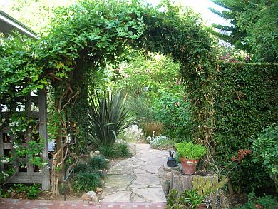arbor-resized.jpg