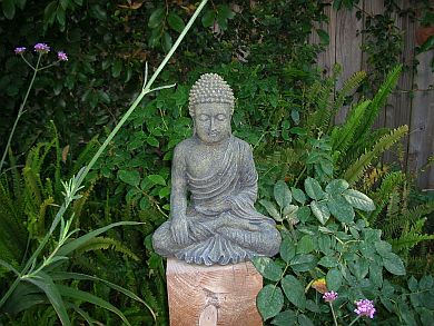 budha-resized.jpg