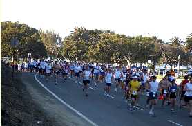 Palos Verdes Marathon
