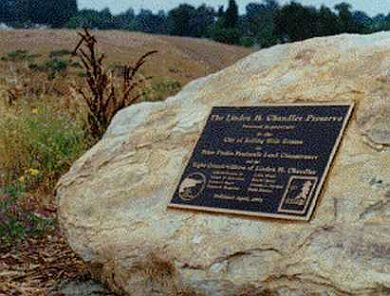 chandler preserve