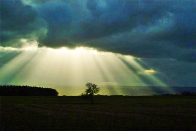 SunRay1
