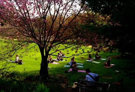 Join Tai Chi Yoga Classes At South Coast Botanic Gardens
