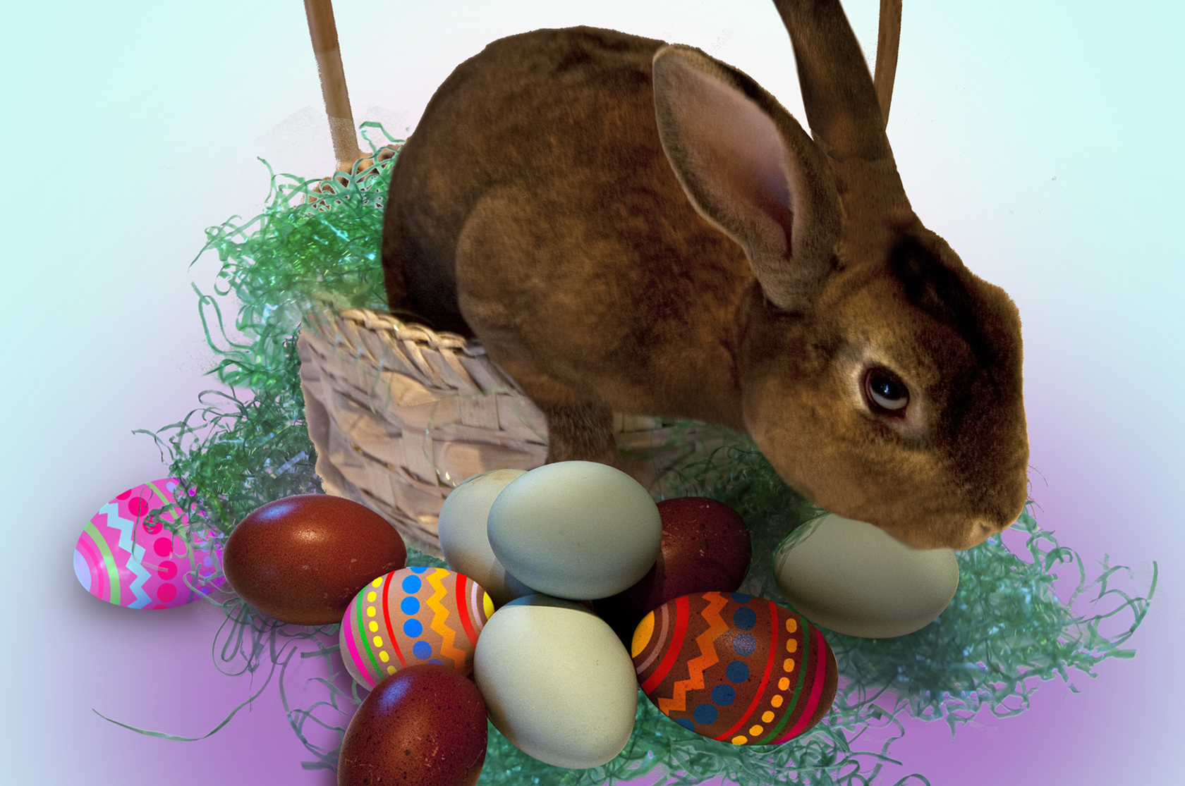 Easter Bunny – Palos Verdes Source