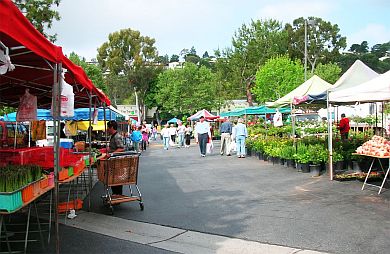 Picture of a farmers market.
