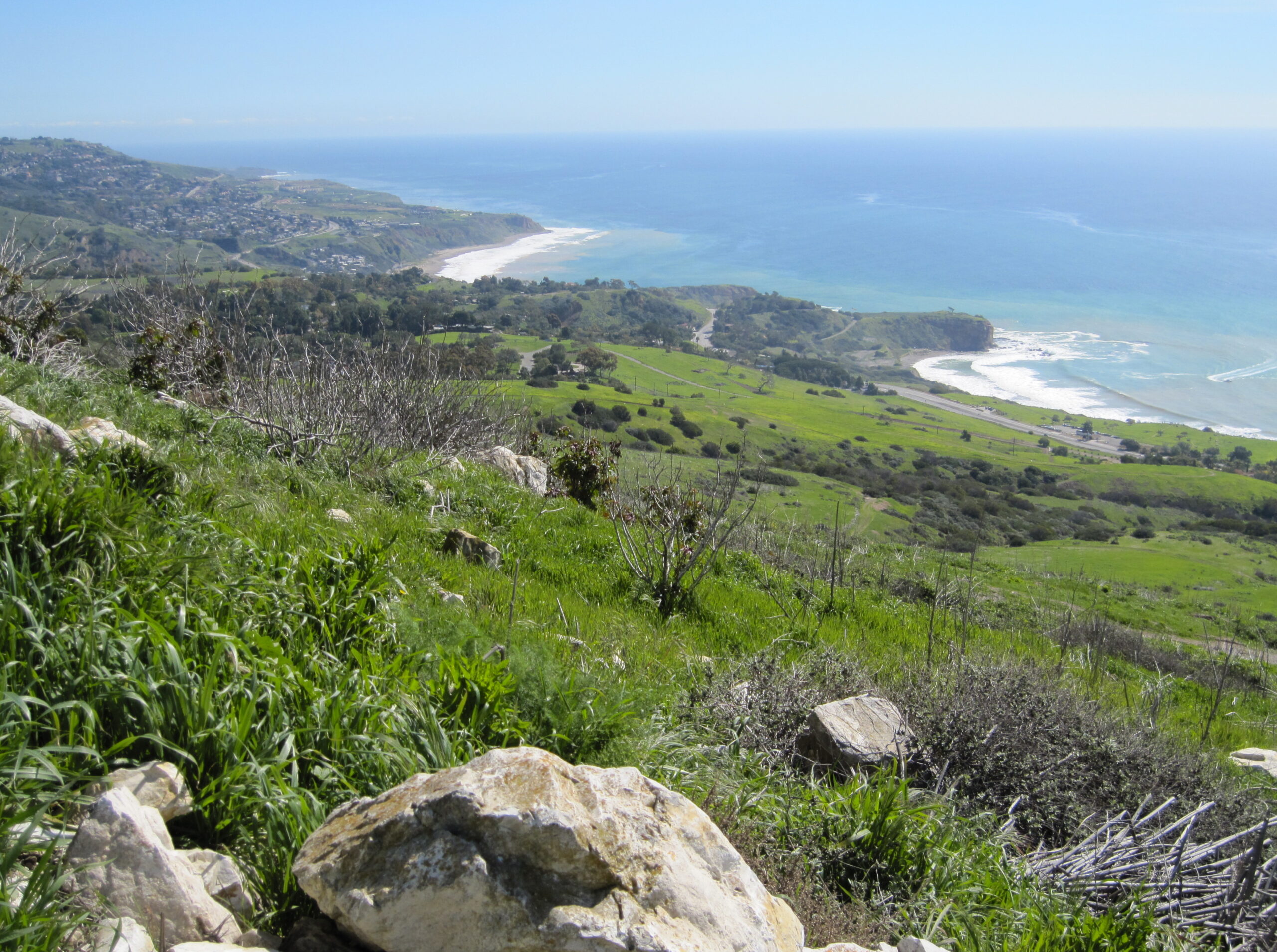 Palos Verdes Peninsula Land Conservancy Hikes & Trails February 2023