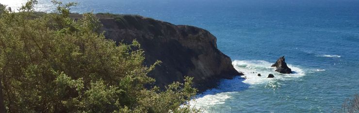 Palos Verdes Vincent Bluff Reserve Hike!