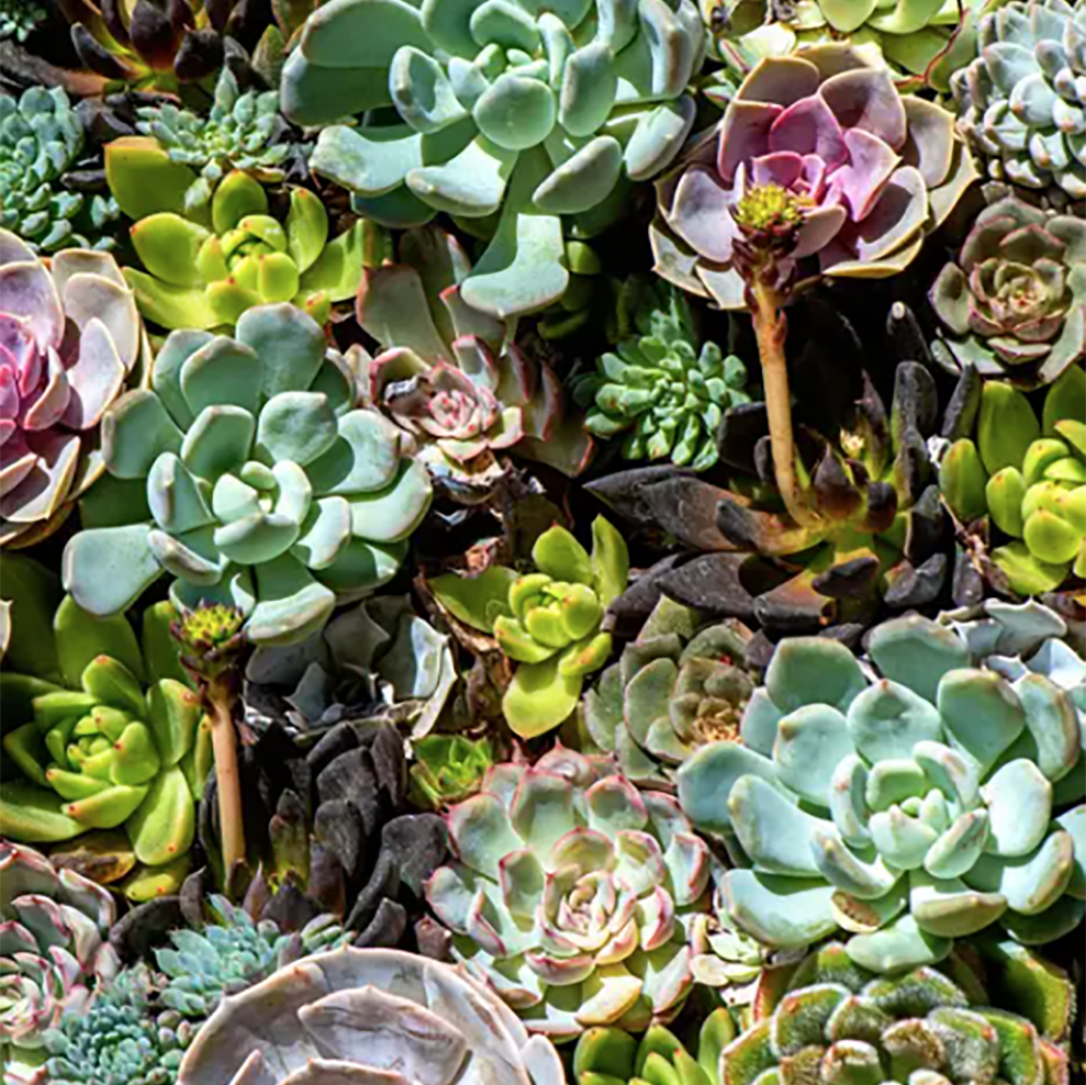 Palos Verdes Art Centers April Shows & Sales 2023!
