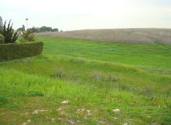 Palos Verdes Real Estate Silver Spur Neighborhood 2022