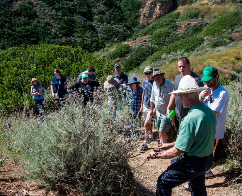 Palos Verdes Peninsula Land Conservancy Hikes & Trails September 2023