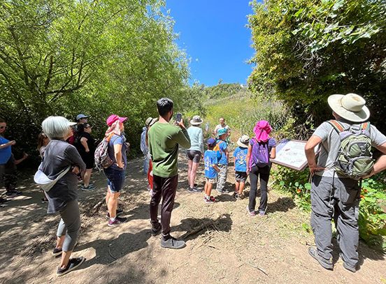 Palos Verdes Peninsula Land Conservancy November Activities!