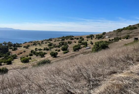 Palos Verdes Peninsula Land Conservancy Opening New Trail!