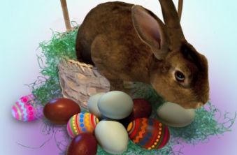 Palos Verdes Enjoys 2024 Egg Hunt Eggstravaganza!