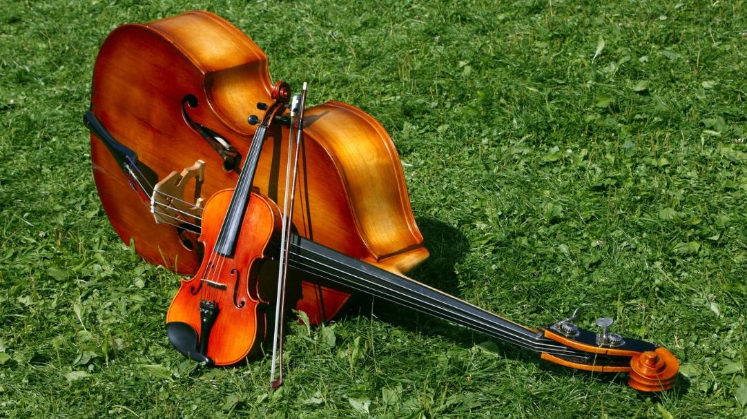 South Coast Botanic Garden Presents Music In The Garden!