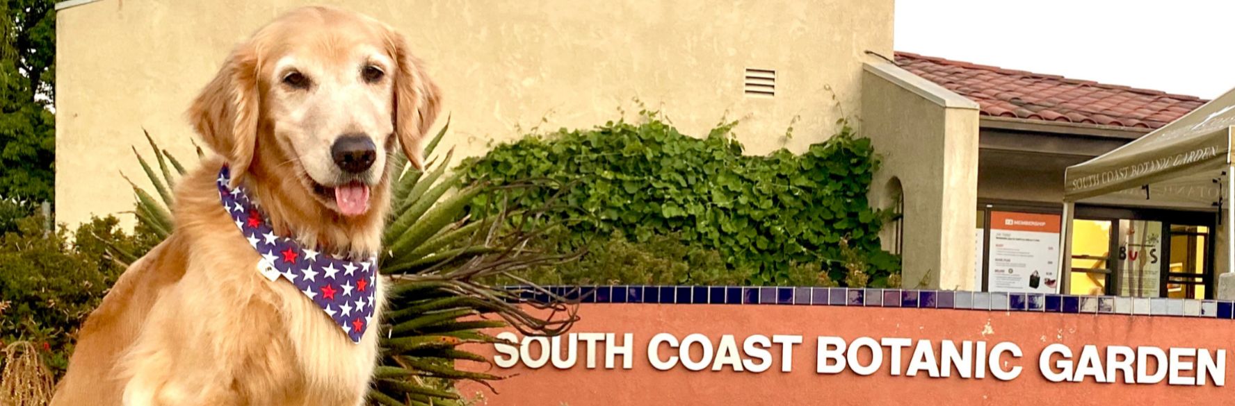 Enjoy Dog Walking at South Coast Botanic Garden May 26, 2024