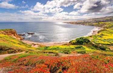 Palos Verdes Peninsula Land Conservancy July 2024