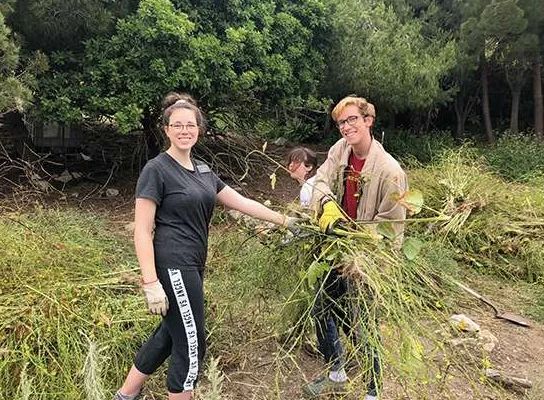 Palos Verdes Peninsula Hikes & Trails January 2025!