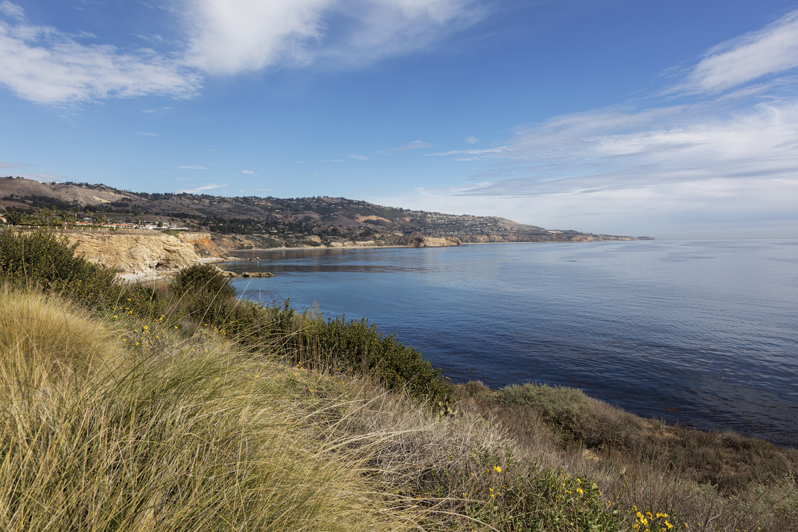 Photo of Palos Verdes coast courtesy of Arvin Design