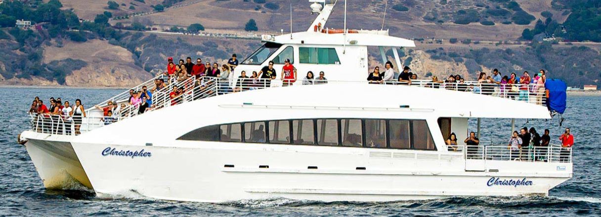 Palos Verdes 2025 Whale Watching Cruises Have Begun!