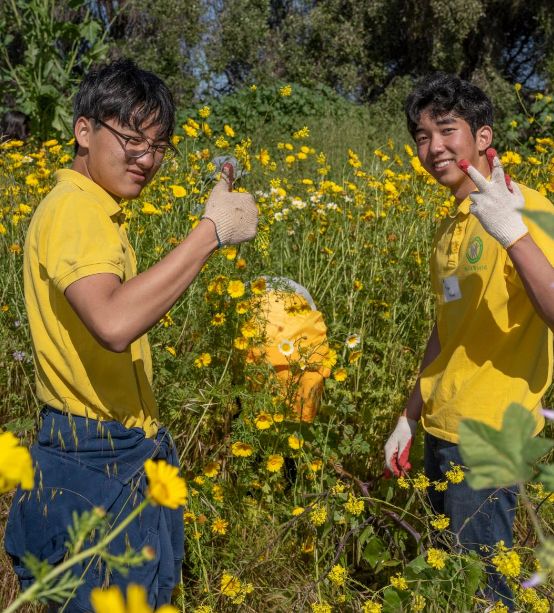 Palos Verdes Peninsula Land Conservancy April 2025