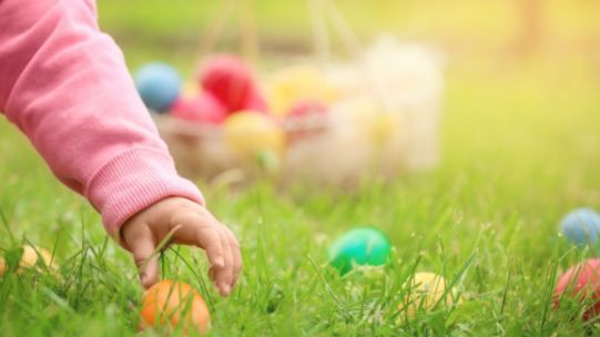 Fun Happenings at the South Coast Botanic Garden This Month!