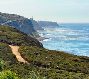Palos Verdes Peninsula Land Conservancy July 2025