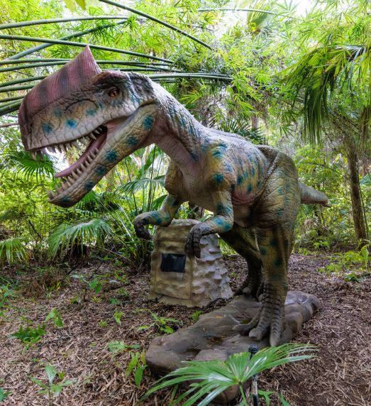 South Coast Botanical Gardens 2025-2026 Programming!