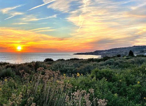 Palos Verdes Peninsula Land Conservancy September 2025 Events!