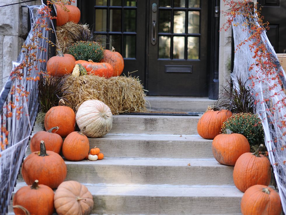 Enjoy Halloween & Daylight Savings Time Change Happening This Weekend!