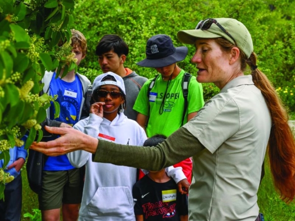 Palos Verdes Peninsula Land Conservancy Hikes & Trails November 2025