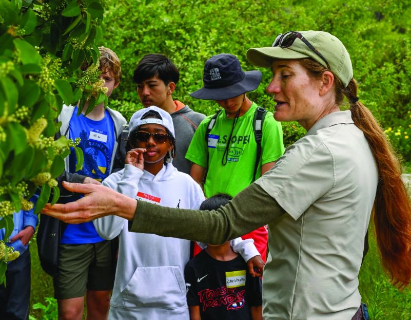 Palos Verdes Peninsula Land Conservancy Hikes & Trails November 2025