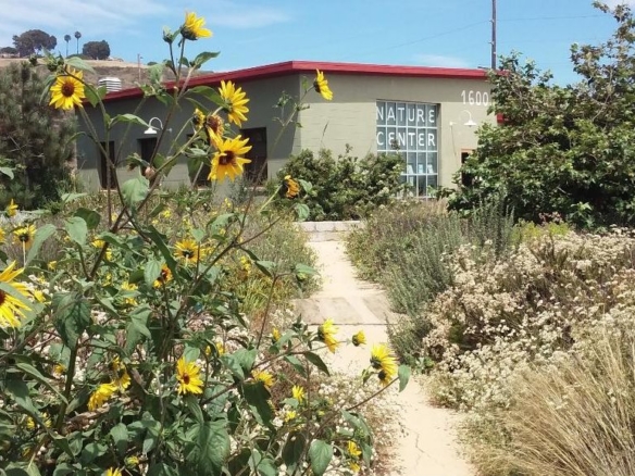 Palos Vedes Peninsula Land Conservancy July 2026!