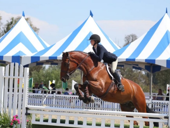 Palos Verdes 68th Annual Portuguese Bend Horse Show!
