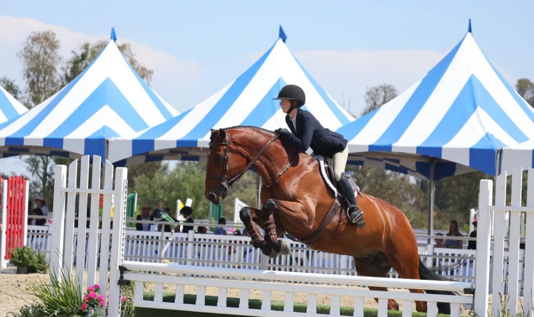 Palos Verdes 68th Annual Portuguese Bend Horse Show!